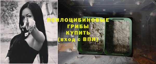 гашик Белоозёрский
