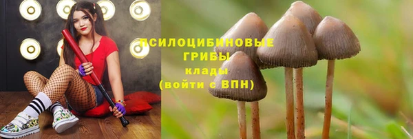 гашик Белоозёрский