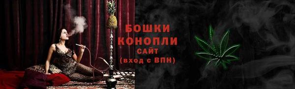гашик Белоозёрский
