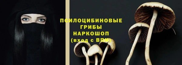 гашик Белоозёрский