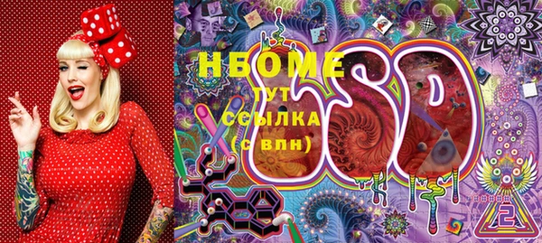 гашик Белоозёрский