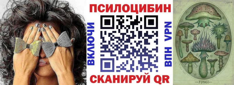 Галлюциногенные грибы Cubensis  что такое наркотик  Белёв 